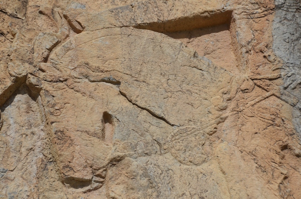 Salmas, Rock relief, Shapur's horse