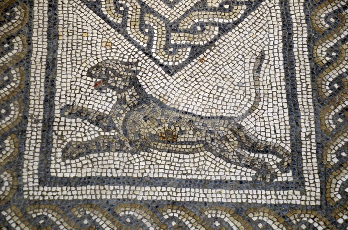 Andesina, so-called Basilica, Mosaic of a panther