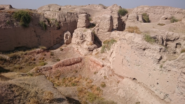 Afrosiab, Ruin of a palace (2)