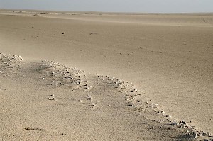 The desert north of Awjila