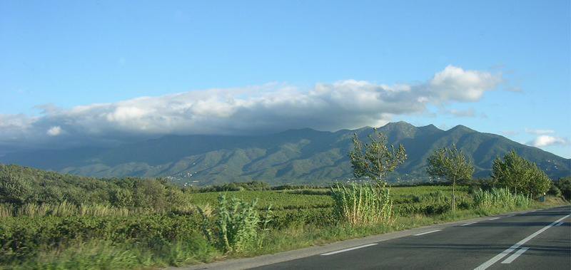 Pyrenees