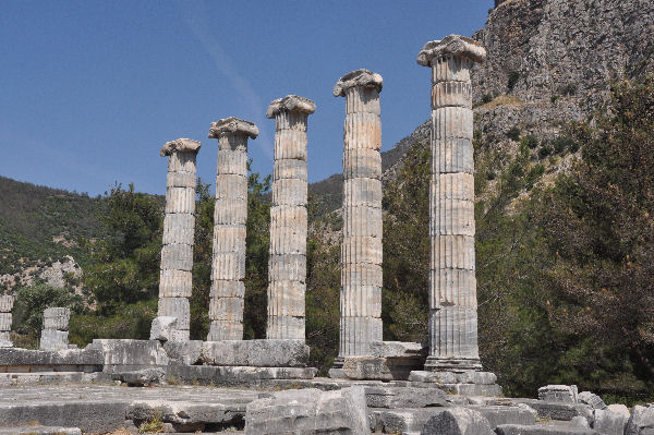 Priene, Temple of Athena Polias (5)