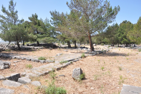 Priene, Agora