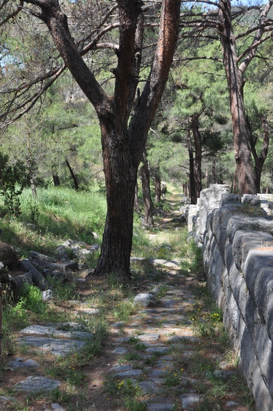 Priene, Theater Road