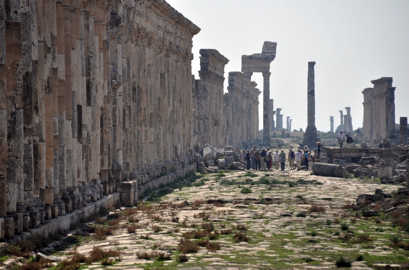 Apamea, Colonnaded Street (5)