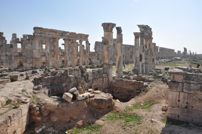 Apamea, Colonnaded Street (6)