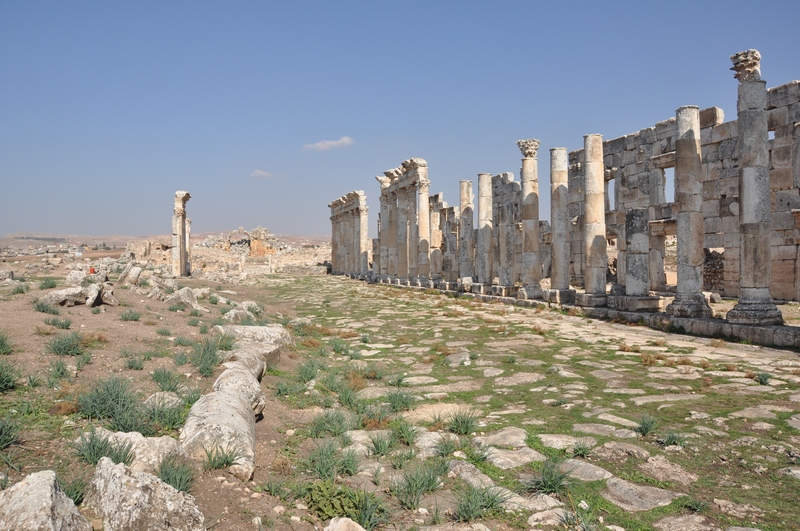 Apamea, Colonnaded Street (8)