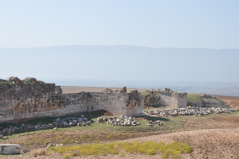 Apamea, Wall