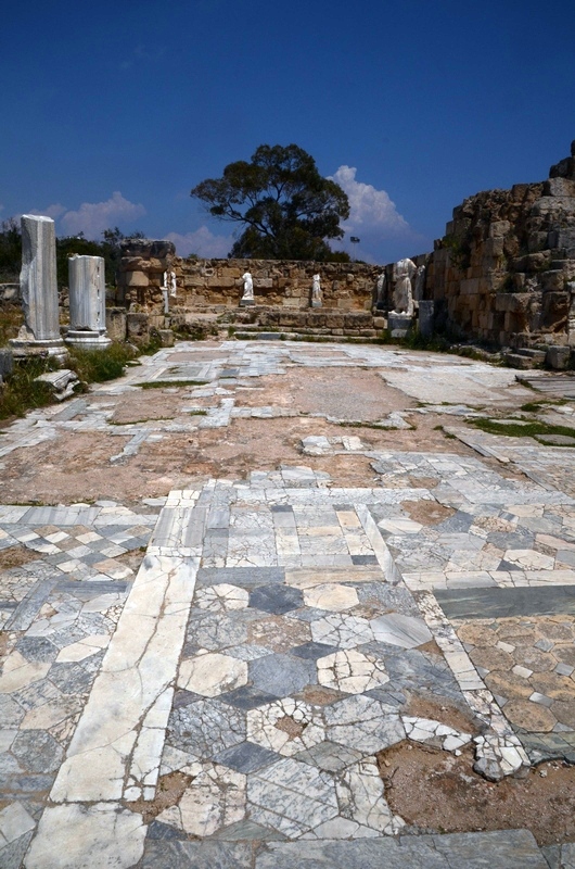 Salamis, Gymnasium, Palaestra, Mosaic