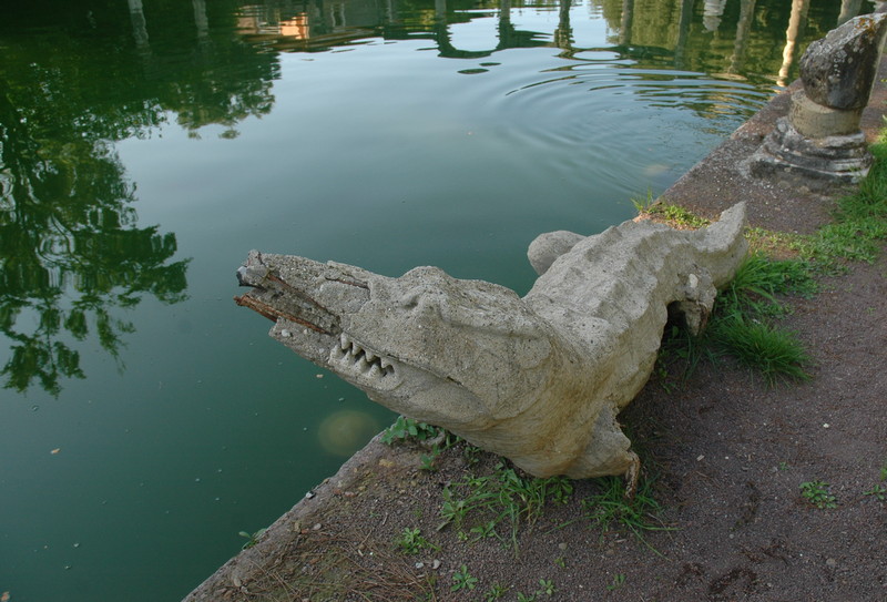 Tivoli, Canopus, Crocodile