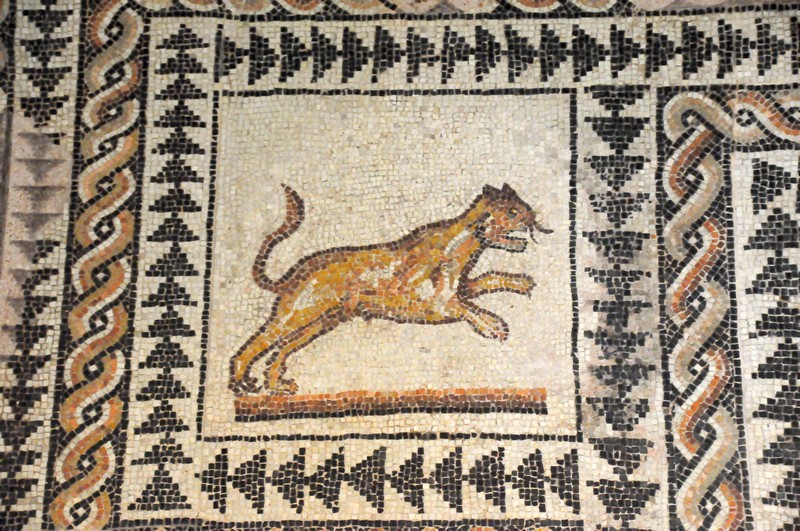 Milan, Forum, Mosaic of a feline
