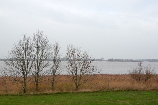 Weser, Estuary