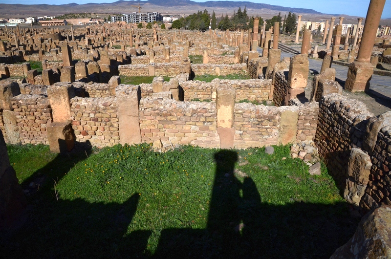 Timgad, Shops