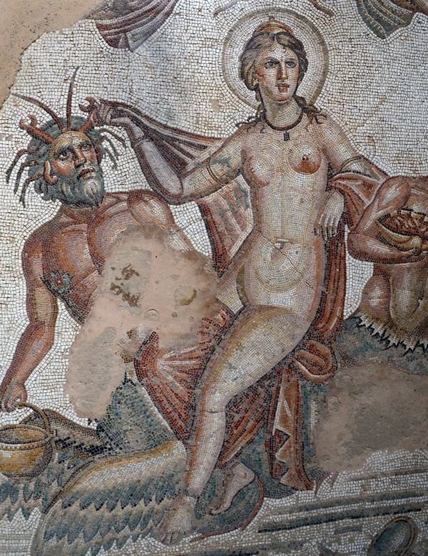 Bulla Regia, House of Amphitrite, Triumph of Venus