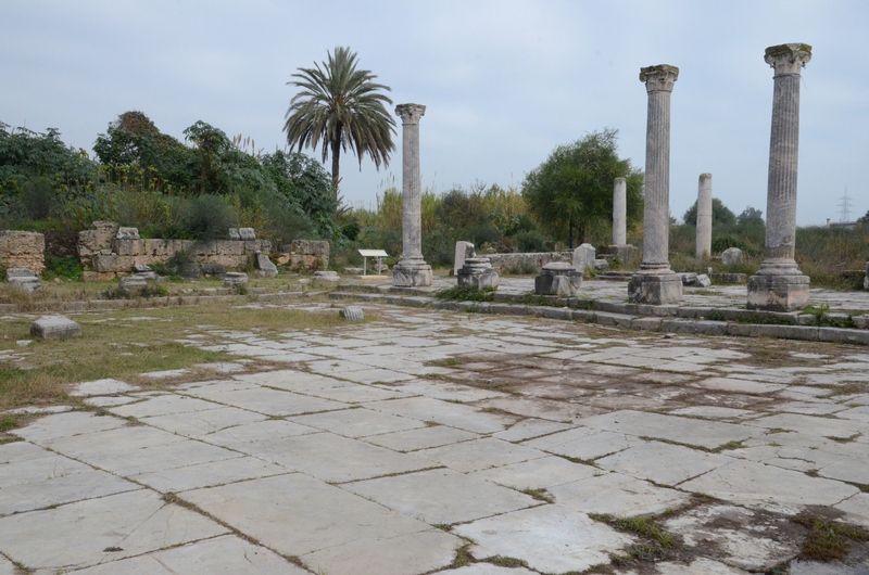 Hippo Regius, Forum, General view