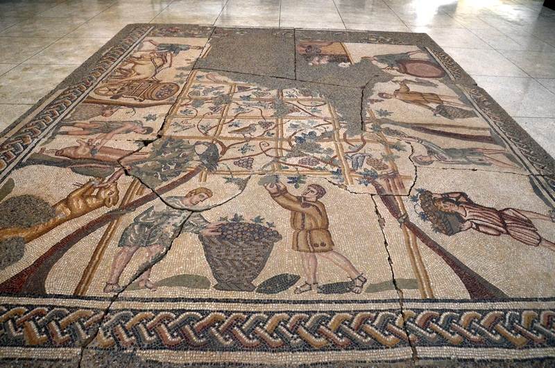 Cherchell, Harvest mosaic