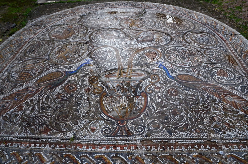 Cherchell, Peacock mosaic