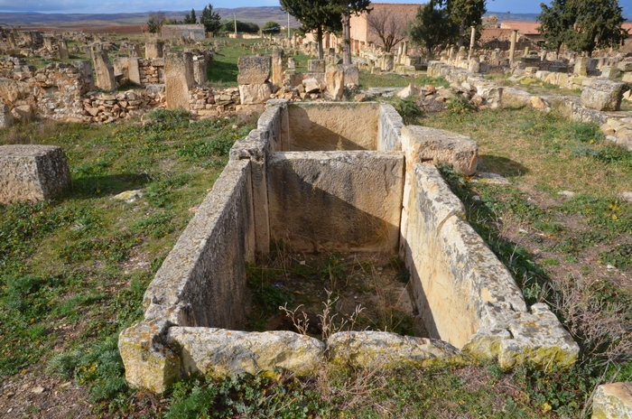 Madauros, House with oil press A, Square basins