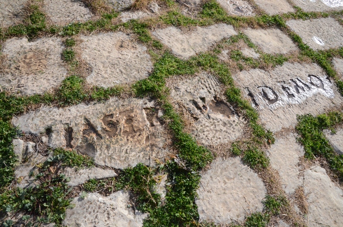 Madauros, Forum, Inscription