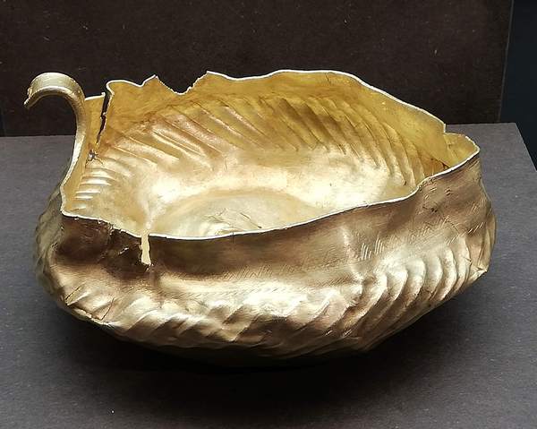 Bistrița, Gold cup