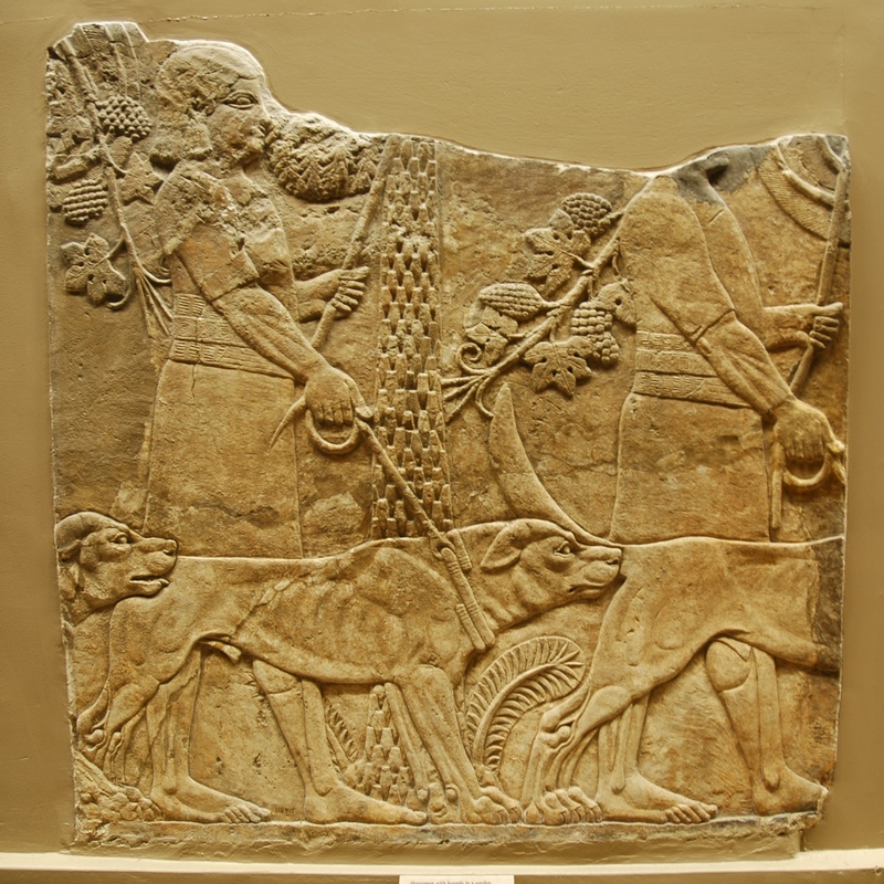 Nineveh, Palace of Aššurbanipal, Aššurbanipal's Lion Hunt (4)