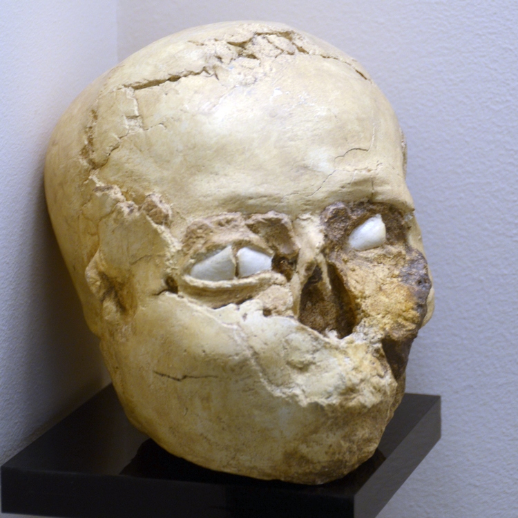 Jericho, Skull from PPNB