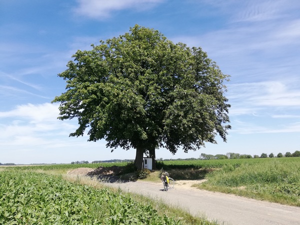 Mellet, Aux trois arbres