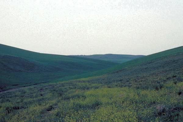 Cynoscephalae, Possible location of the battle