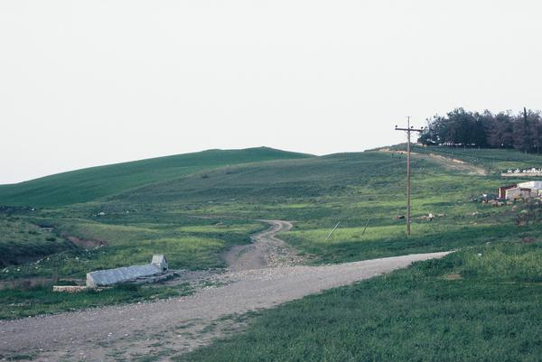 Cynoscephalae, Probable site of a Roman camp, north of Zoodochos