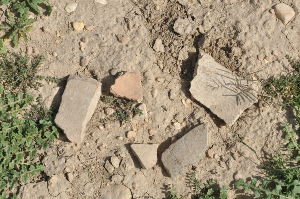 Tell Malyan, Sherds