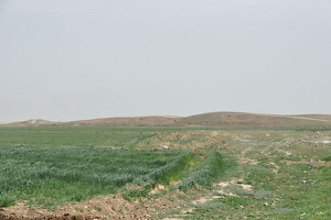Tell Malyan, view from the west