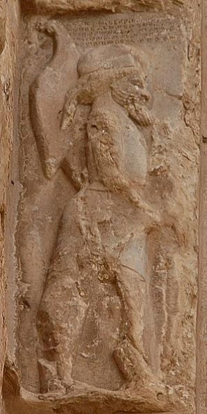 Aspathines, as shown on Darius' tomb