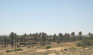 Wadi Qaam