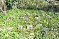 Remains of the Aardenburg temple