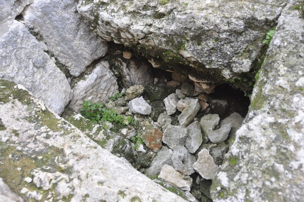 Ain Akrine, temple 1, crypt