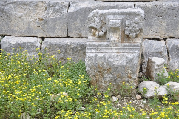 Ain Akrine, temple 1, decoration