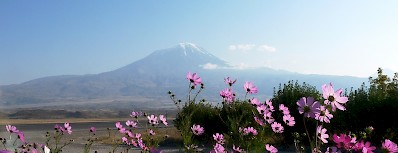 Ağri Daği from the south