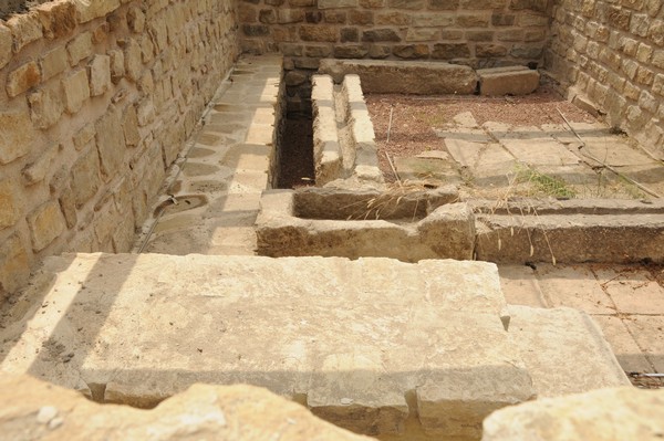 Novae, Latrine