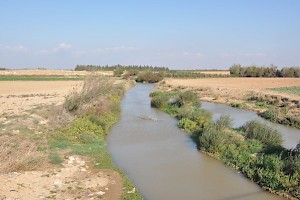 The Orontes north of Kadesh
