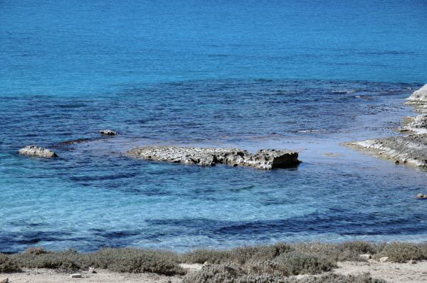 Boreum, South harbor, Pier