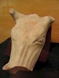 A bullshead from Ecbatana