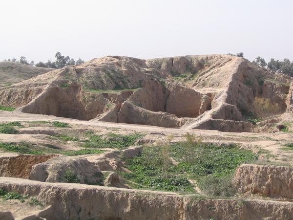 Haft Tepe, Palace Ruins?