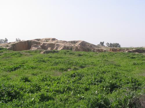 Haft Tepe, Ziggurat? (2)