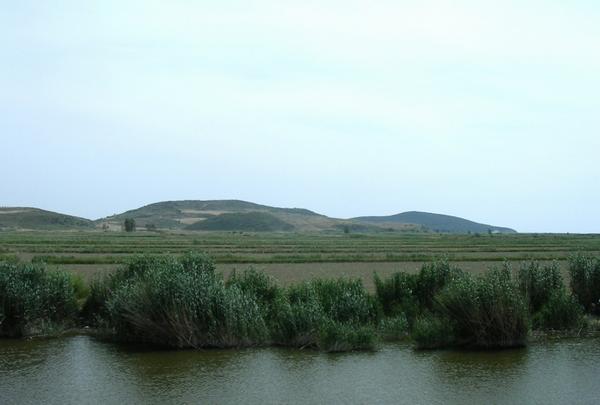 Lade, across the Meander