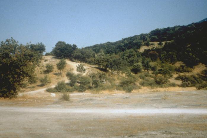 Thermopylae, Hill ("last stand of Leonidas")