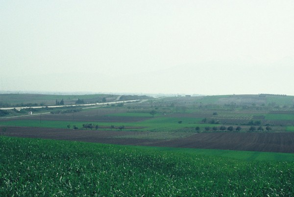 Pydna, Battlefield, seen from the north